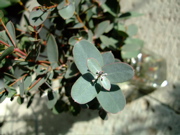 ファイル 612-2.jpg