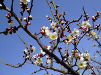 ファイル 615-1.jpg