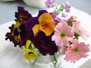 ファイル 626-1.jpg