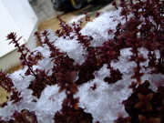 ファイル 631-2.jpg