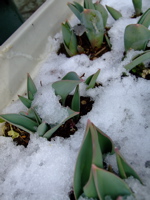 ファイル 631-3.jpg