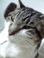 ファイル 639-1.jpg