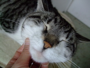 ファイル 639-2.jpg