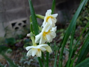 ファイル 640-1.jpg