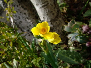 ファイル 640-2.jpg