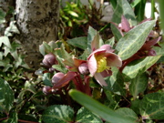 ファイル 641-1.jpg