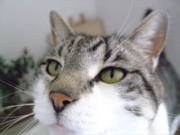 ファイル 645-1.jpg