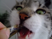 ファイル 645-2.jpg