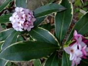 ファイル 651-1.jpg