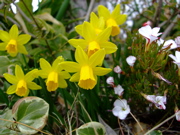 ファイル 655-1.jpg