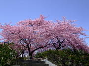 ファイル 656-1.jpg