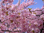 ファイル 656-2.jpg