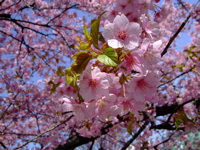 ファイル 656-3.jpg