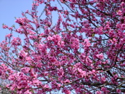 ファイル 661-2.jpg