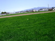 ファイル 661-3.jpg