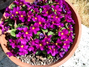 ファイル 668-1.jpg