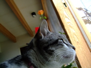 ファイル 673-1.jpg