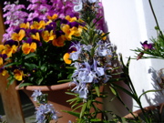 ファイル 675-1.jpg