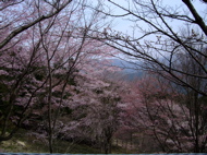 ファイル 677-1.jpg