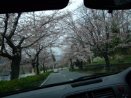 ファイル 677-2.jpg