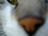 ファイル 679-1.jpg