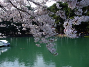 ファイル 680-1.jpg