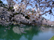 ファイル 680-2.jpg