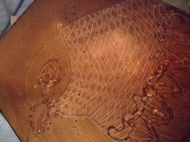 ファイル 690-1.jpg