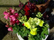 ファイル 698-1.jpg