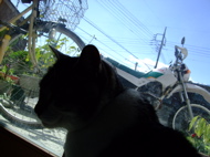 ファイル 699-1.jpg