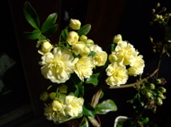 ファイル 701-1.jpg