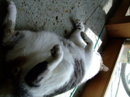 ファイル 703-1.jpg