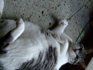 ファイル 703-2.jpg