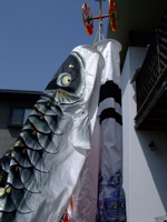 ファイル 708-1.jpg