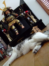 ファイル 709-2.jpg