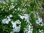 ファイル 713-1.jpg