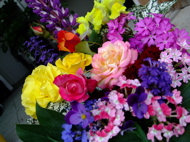 ファイル 717-2.jpg