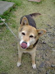 ファイル 718-1.jpg