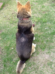 ファイル 718-2.jpg