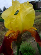 ファイル 719-2.jpg