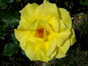 ファイル 722-4.jpg