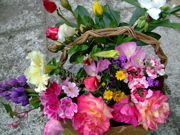 ファイル 724-1.jpg