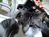 ファイル 725-1.jpg