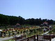 ファイル 727-1.jpg