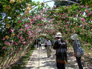 ファイル 727-2.jpg