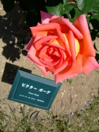 ファイル 727-4.jpg