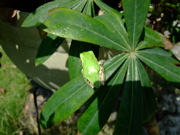 ファイル 733-2.jpg