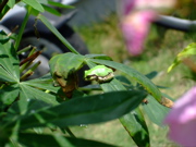 ファイル 733-3.jpg