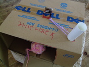 ファイル 734-1.jpg