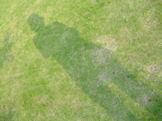 ファイル 735-1.jpg